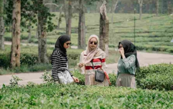 Staycation Bobocabin Sukawana | EO Prabu Outbound