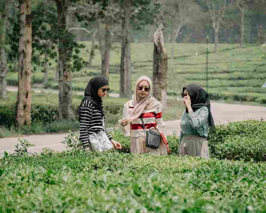 Staycation Bobocabin Sukawana | EO Prabu Outbound