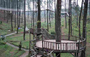 Kebon Pines Cikole | EO Prabu Outbound