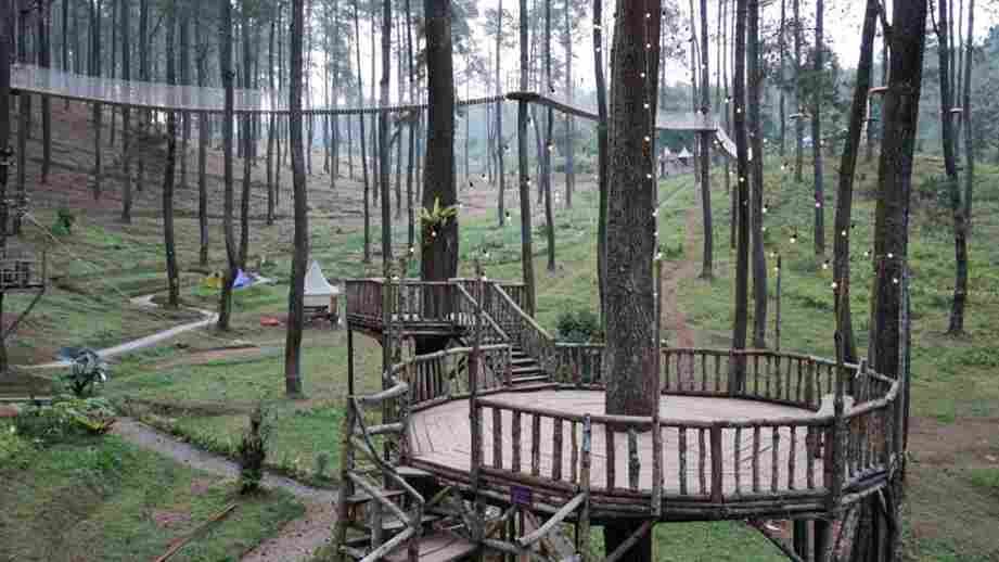 Kebon Pines Cikole | EO Prabu Outbound
