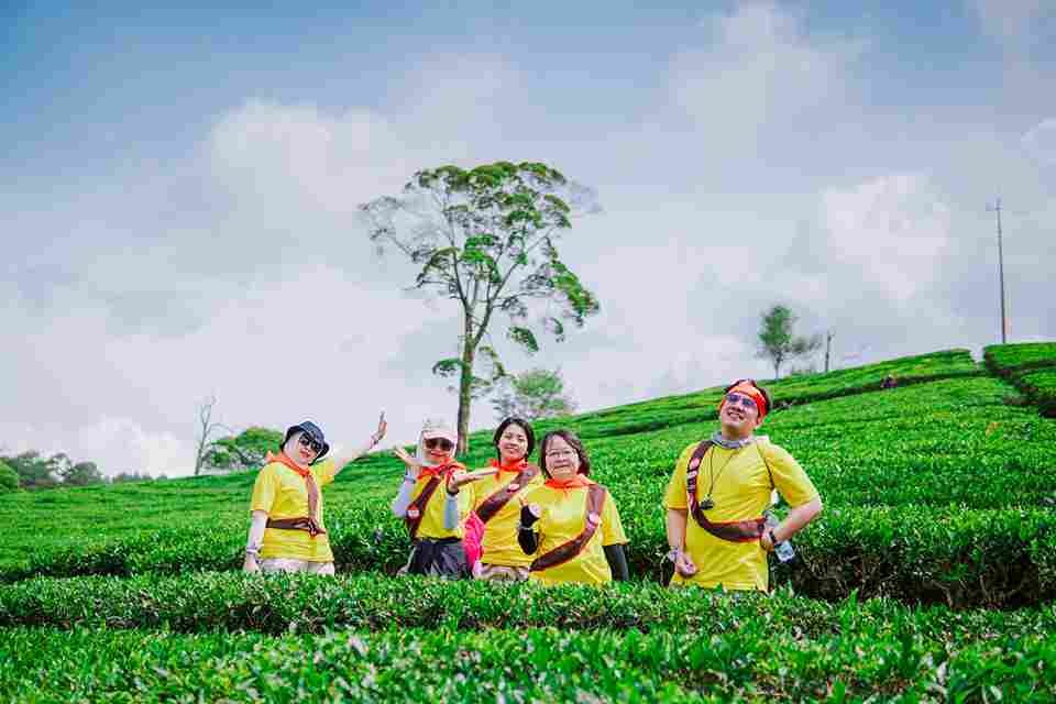 Trekking di kebun teh Sukawana, pemandangan hijau